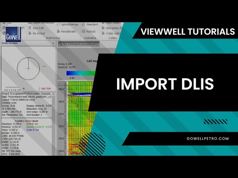 How to Import DLIS in ViewWell