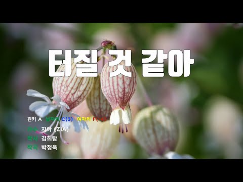 [은성 반주기] 터질것같아 - 지아(ZIA)