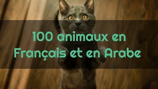 Apprendre 100 animaux en Français et en Arabe avec prononciation