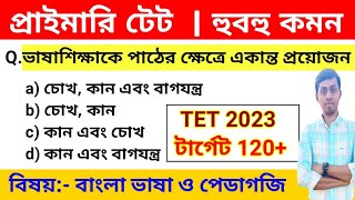 Primary Tet 2023 | Bengali Pedagogy For Primary Tet 2023 | বাংলা পেডাগজি ক্লাস