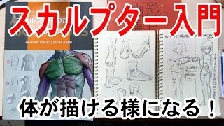 体も描ける人になろう！『初心者向け』にスカルプター本の使い方を解り易く解説！美術解剖学で身に着く効果と絵の練習の仕方についてお話ししてみます( ´ ▽ ` )ﾉ