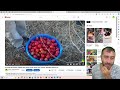 Errores en mis videos y porque Wikipedia no es confiable como referencia visual.
