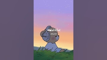 اكتب شيء تؤجر عليه 😴❤ / القارئ أحمد بن طالب