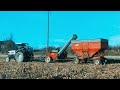 Using new idea corn picker with a white tractor