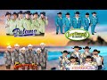 Lalo Mora, Ramon Ayala, Los Tigres del Norte, Palomo, Vagon Chicano, Conjunto Primavera, Intocable