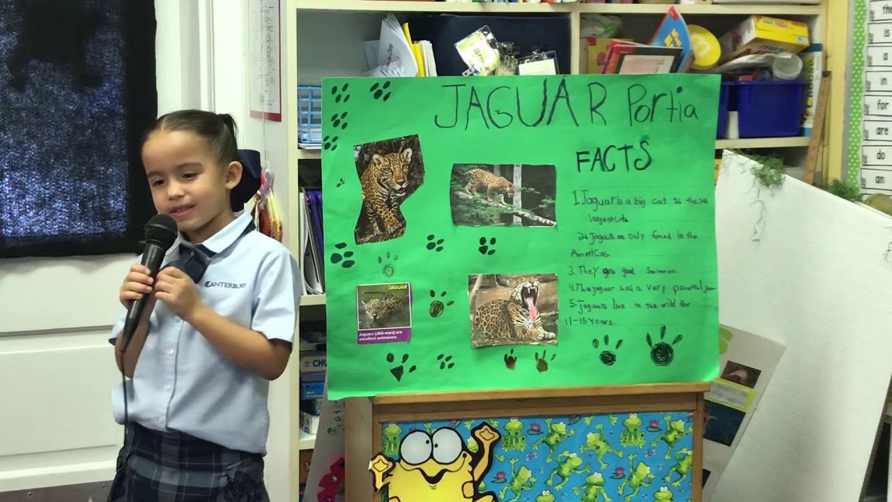 educational research and reviews Portia First Grade Animal Report 2018