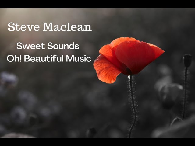 Letra da música True love - Steve Maclean