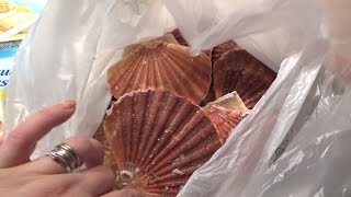 видео Разрешенные продукты на диете Дюкана