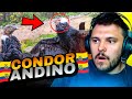 💥ESTE es el AVE NACIONAL DEL ECUADOR 😱😲| El CONDOR ANDINO | *Es GIGANTE*🤯🦅 | Falso Nueve