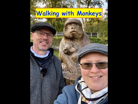 Walking with monkeys