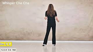 [스텝설명]Whisper Cha Cha|Tutorial|설명영상 |함께 배워보세요 