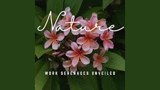 Melodic Work Insights Unveiled