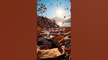 تلاوة عطرة من سورة فصلت للقارئ احمد النفيس #احمد_النفيس #quran #قرآن #تلاوة_خاشعة