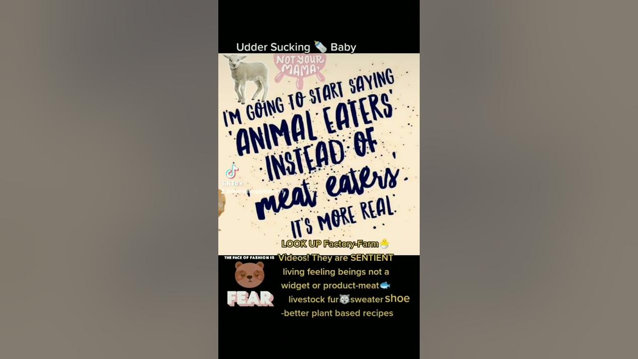 VEGANS say ANIMAL EATERS not MEAT EATERS (PC Harvest = KILL Livestock