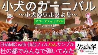 EHAMIC&仙台フィルわんサンブル 小犬のカーニバル 収録風景