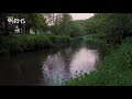 Slow tv the dawn chorus  rhs garden wisley  rhs