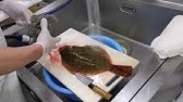 38 津本式血抜き練習 マコガレイ カレイ Youtube