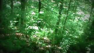 Running Footsteps Heard  2010 Best Version