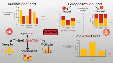 Types of Bar Charts: Beginner-level #barchart #datarepresentation #bargraph #datavisualization