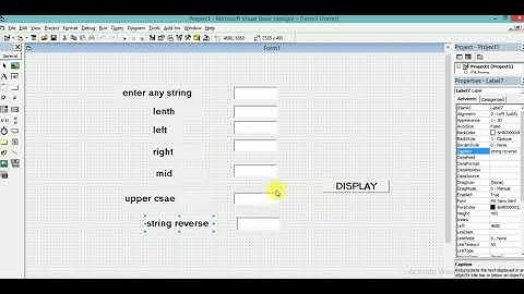 Function in vb 6.0 by Dipali Singh Rathore