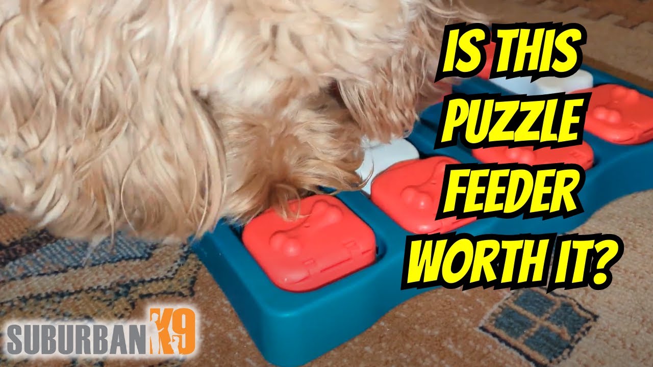 The Dog Geek: Puzzle Toy Review: Outward Hound Whirli Treat