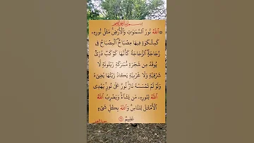 سورة النور 