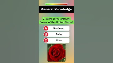 Quick General Knowledge Quiz! 😱 #quiz  #generalknowledge