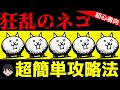 【にゃんこ大戦争解説】狂乱のネコ攻略方法を世界一わかりやすく解説してみた【Battle Cat】