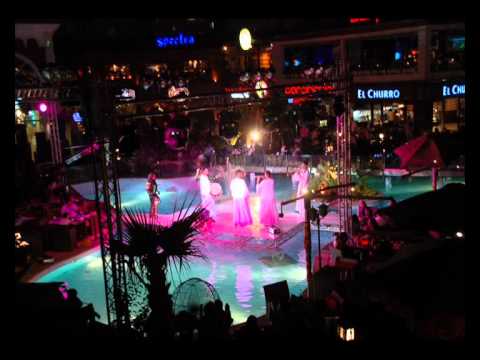 الاحتفال بدخول مطعم هولا اواسيس موسوعه جينيس العالمية