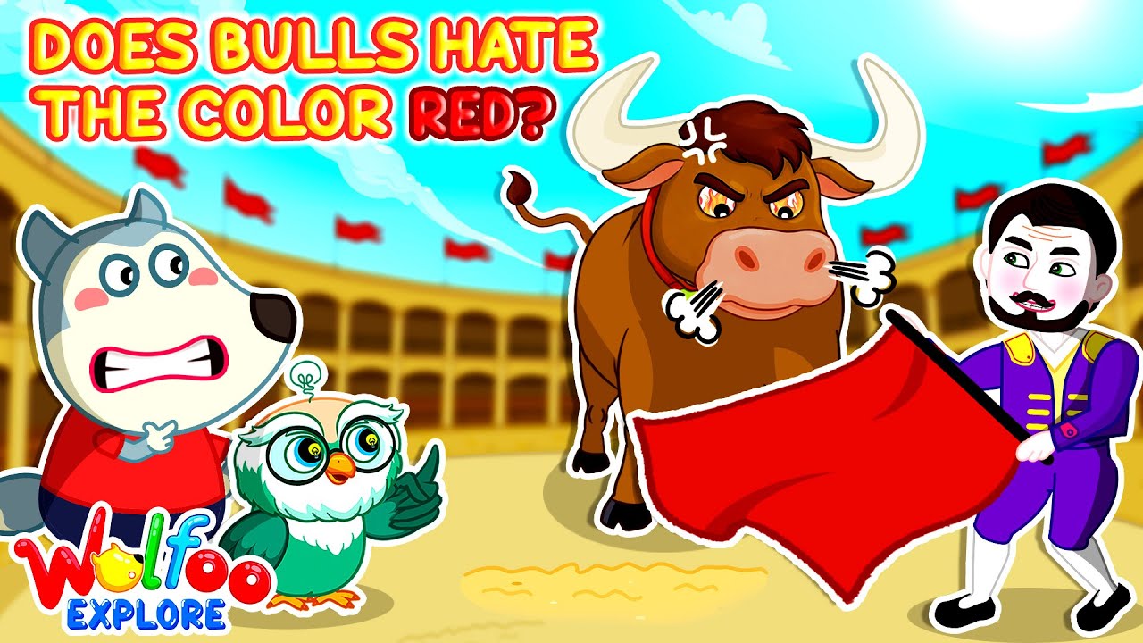 NEW | Wolfoo Explore 🔍 Why Do Bulls Charge at Red Cloth? 🐂🔴 Wolfoo Channel | Kids Cartoon