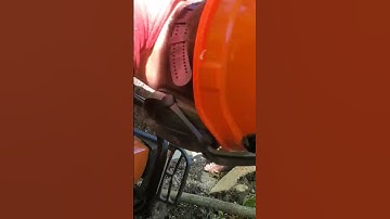 Stihl 661c cutting down a Big Cherry tree #shorts #logging #stihl #treework