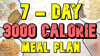7 - Day 3000 Calorie Meal Plan