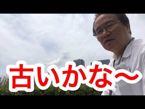 【ちょいプロ】古いかな〜フローチャートとCOBOL