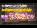 【うなぎ】お手軽なのに超高級食材！天然のうなぎ釣り【木曽の恵に感謝】