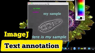 How to add text to microscope images in ImageJ/FIJI #ImageJ #textannotation