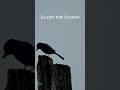 Learn the lesson. #thrive #evolve #adviceforlife