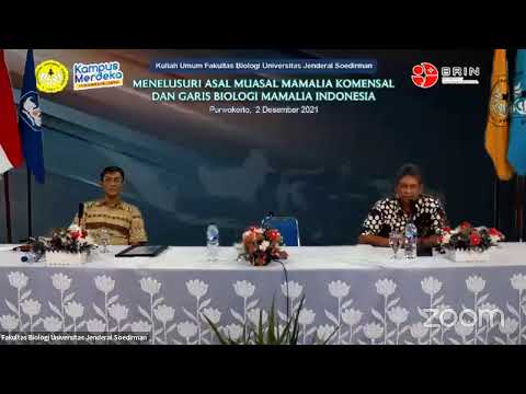 Video: Belukha ialah mamalia: perihalan, habitat, pembiakan