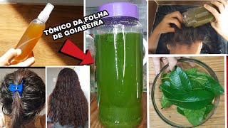 FAÇA SEU TÔNICO EM CASA DA FOLHA DE GOIABEIRA- ACELERA NO CRESCIMENTO DO CABELO E  COMBATE A QUEDA