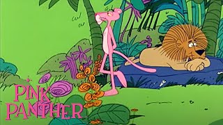 Pink Panther Goes To The Jungle! | 35-Minute Compilation | Pink Panther Show