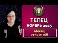 Гороскоп Тельца на Ноябрь 2023: Секретные знания, которые перевернут ваш мир! Пропустите ли вы это?