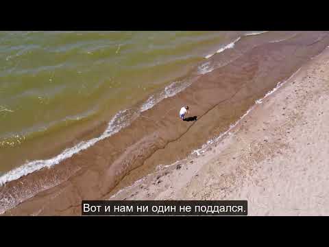 Video: Lake Tengiz sa Kazakhstan: larawan, paglalarawan