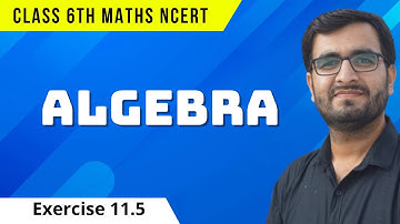 Algebra || Class 6 || Chapter 11 || Exercise 11.5 || Math