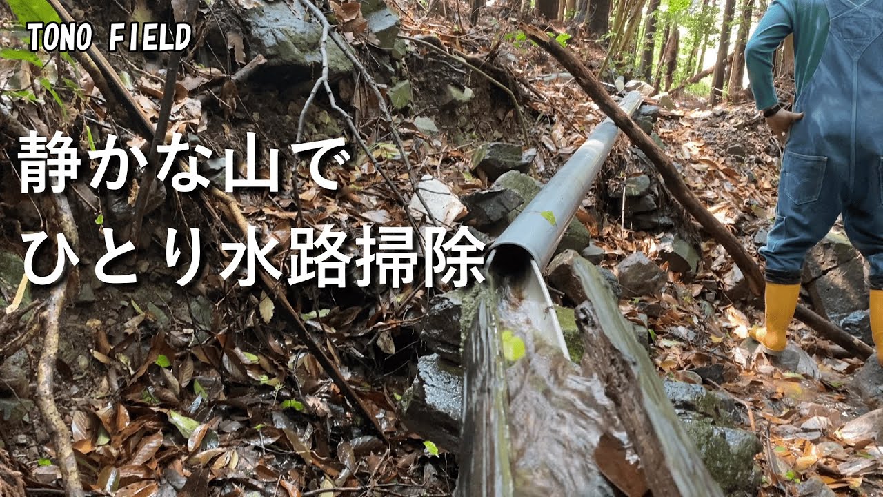 山からの水を守るため水源点検と水路掃除の記録【自然音】
