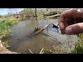 Sposób na Leniwe Ryby | Spinning Jednej Przynęty - Robak | Rzeka Trzebośnica