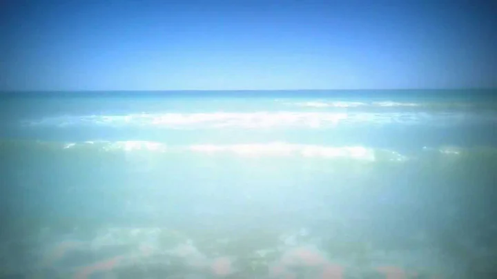 Honeymoon Island