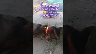 MAINIT ANG PANAHON MADAMI ANG KAHOY SA TABI TABI KAYA GUMAWA AKO NG LUTUAN LIBRE NA SA GASOL NGAYON.