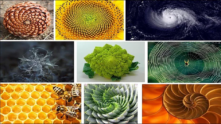 Sacred Geometry - Exploring its Archetypal Language and Origins