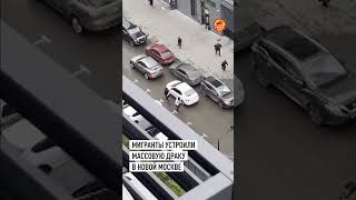 В Новой Москве мигранты устроили массовую драку со строительным мусором и палками
