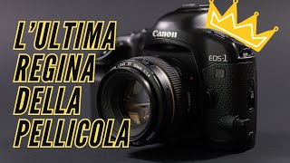 Canon EOS 1V: The Last Queen of Film