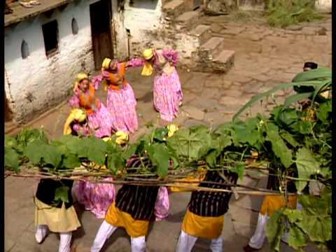 Raimasi Ko Phool Full Song Thando Re Thando